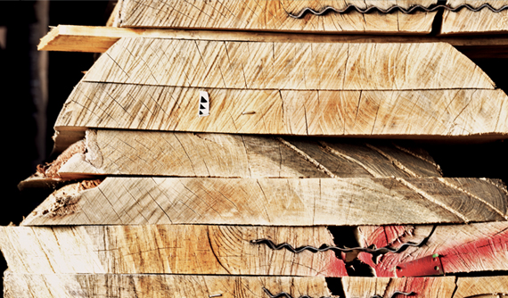HomePage 12