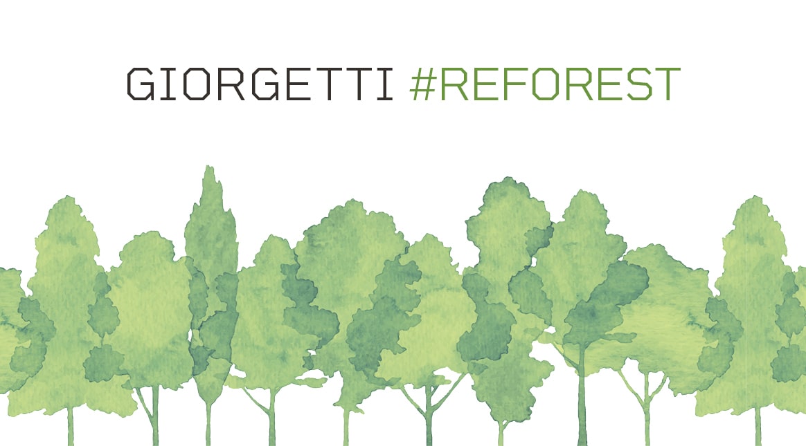 THE GIORGETTI GROUP'S #REFOREST PROJECT COMES TO LIFE