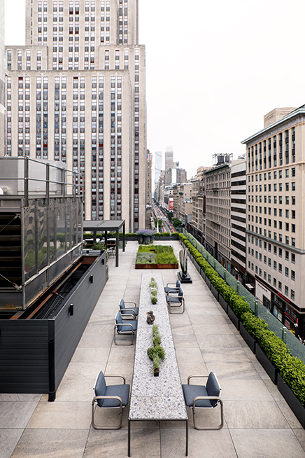 New York 16